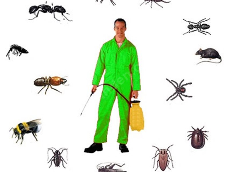 Yayladağı Böcek İlaçlama