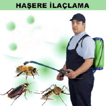 Yayladağı Böcek İlaçlama
